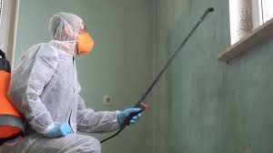 Best Emergency Mold Remediation  in Georgetown, PA